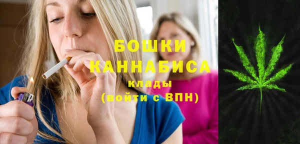твердый Магас