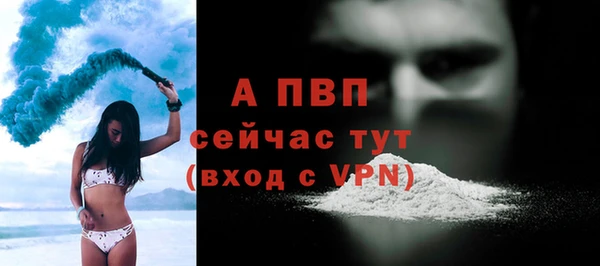 твердый Магас