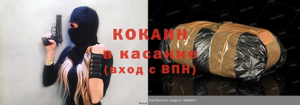 твердый Магас