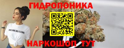 прущие крисы Гусиноозёрск