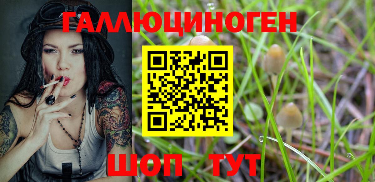 Псилоцибиновые грибы Magic Shrooms  Галлюциногенные грибы Psilocybe  Кисловодск 